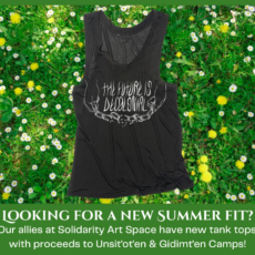 A green grass and daisy background with a black tank top across it. The tank top reads "the future is Decolonial"
